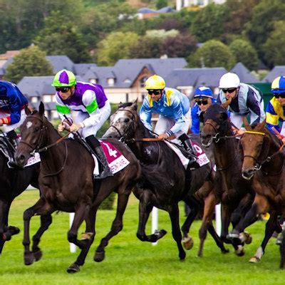 elite racing tips|Professional Horse Racing Tips and Rating Blogs .